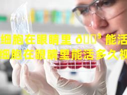干细胞在眼睛里 🌳 能活多久（干细胞在眼睛里能活多久视频）